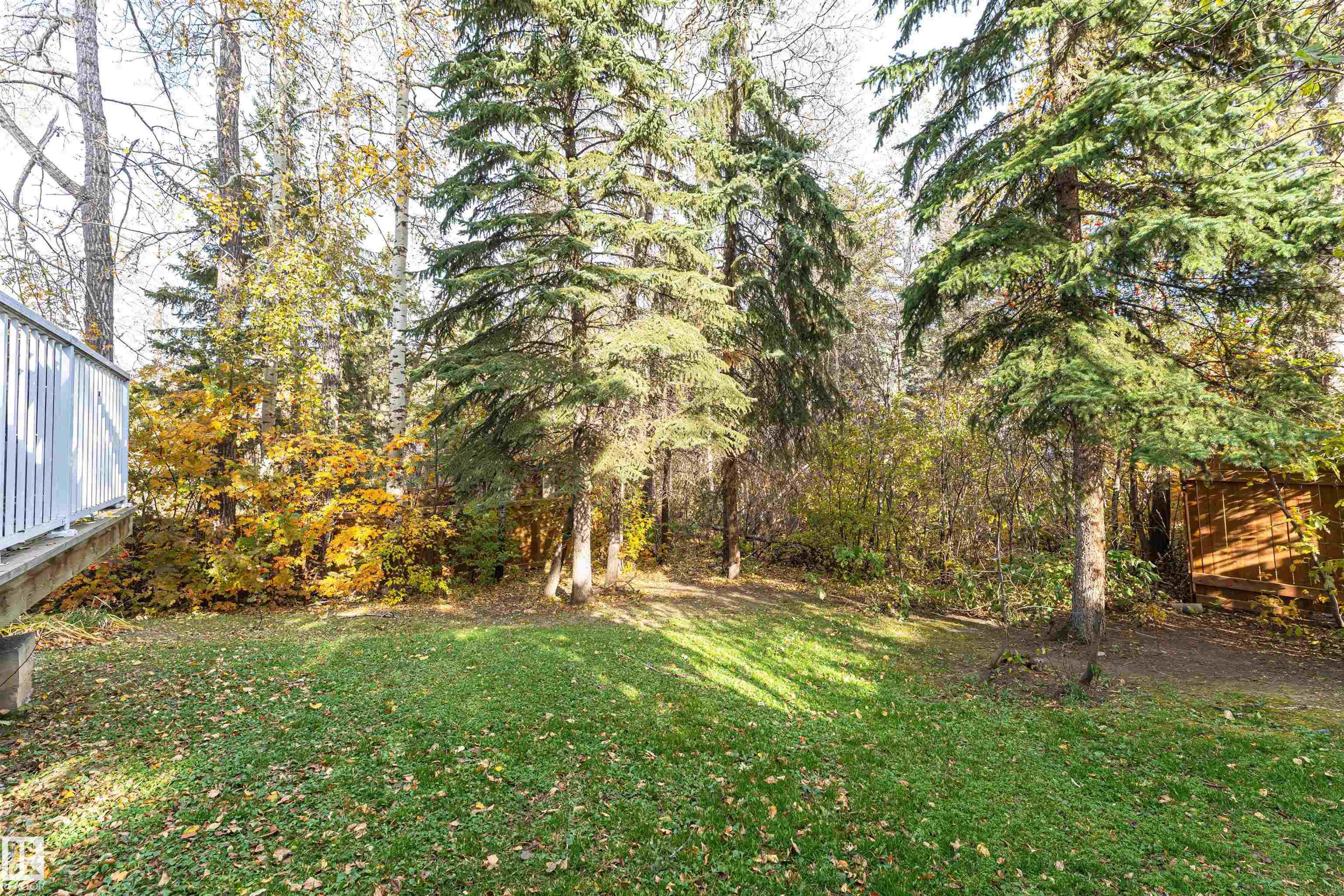 29 GRENFELL AV
