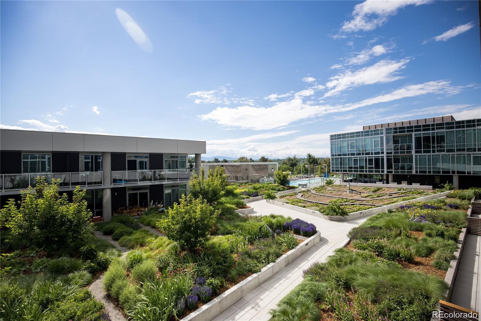 Modern condo courtyard with raised garden beds, flowering landscaping, and paved walking paths.