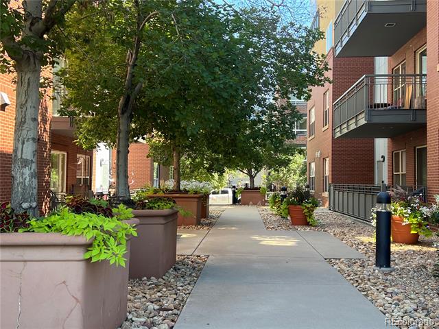 1438 Little Raven Street Unit: 102