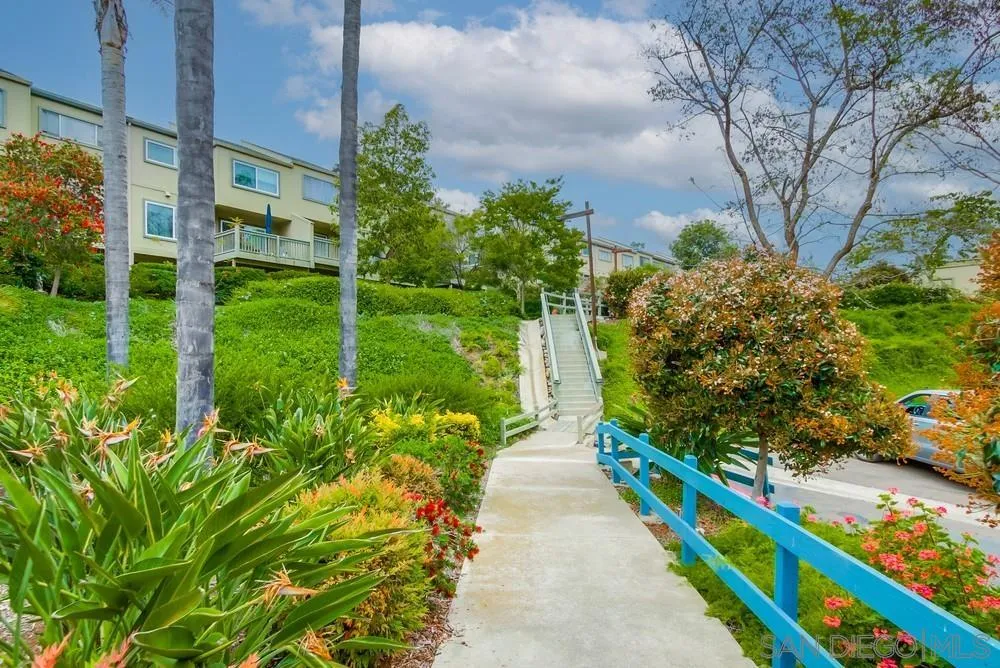 10565 Caminito Basswood