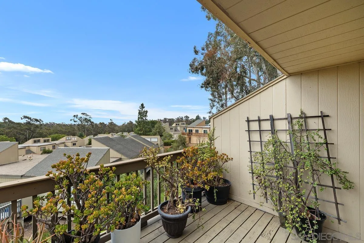 10545 Caminito Memosac