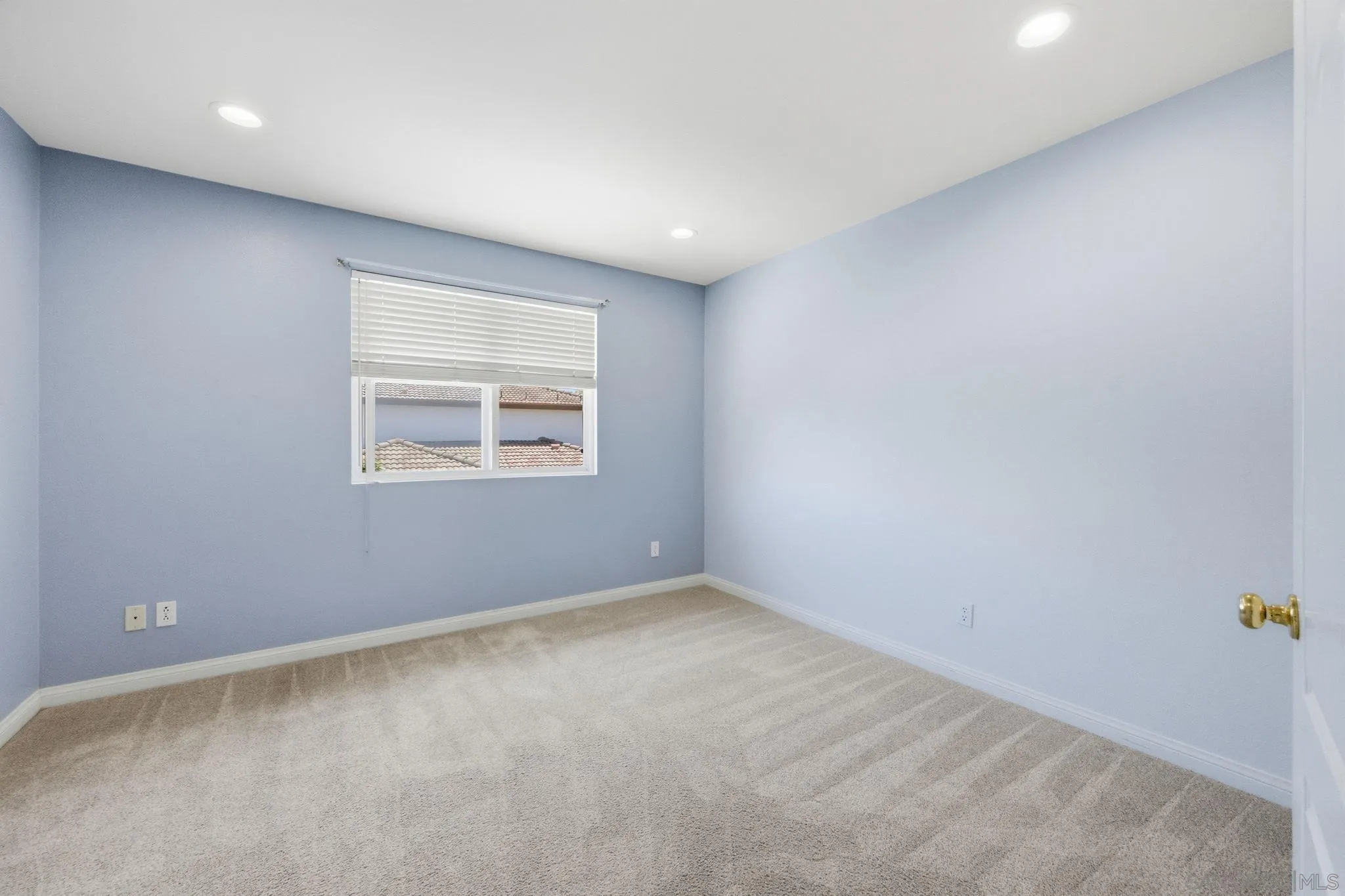 11478 Swan Lake