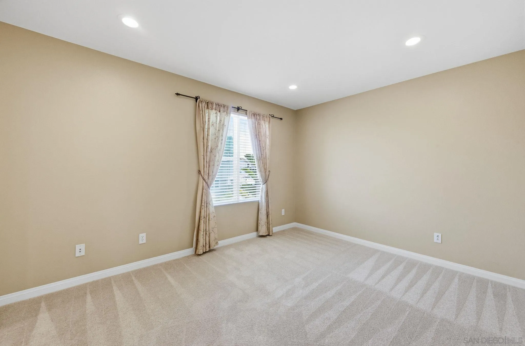 11478 Swan Lake