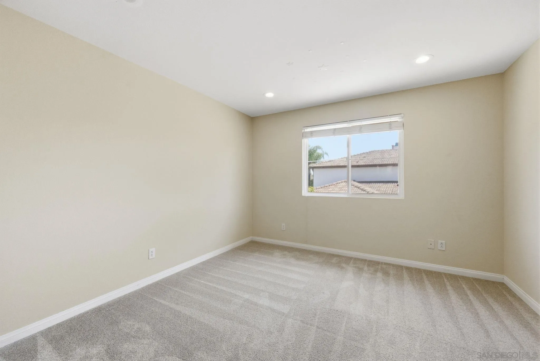 11478 Swan Lake