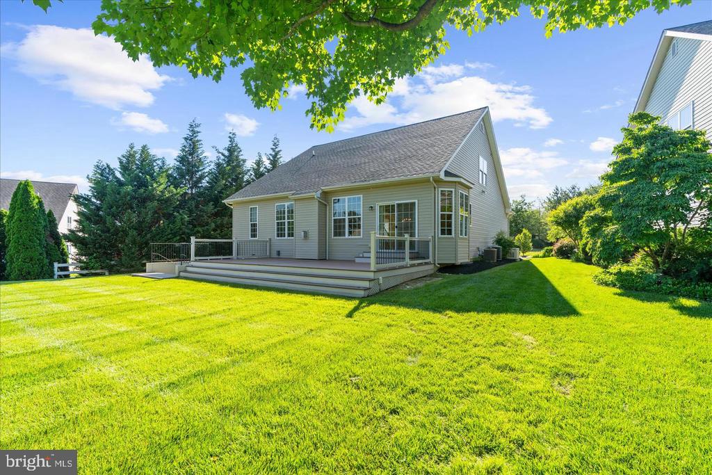 5 TREMONT DRIVE