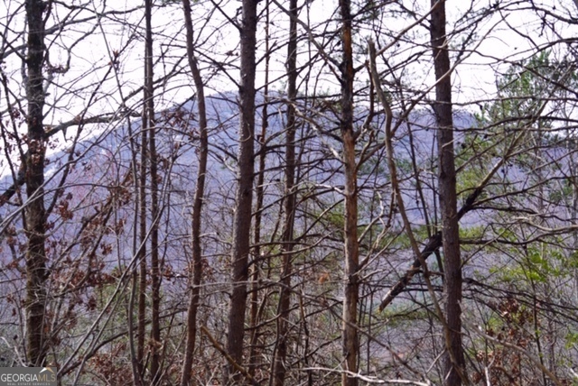 LOT # 21 Moon Circle