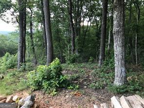 25 Long Mountain Trail