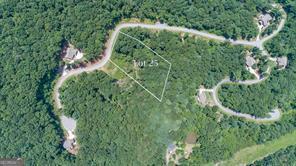 25 Long Mountain Trail