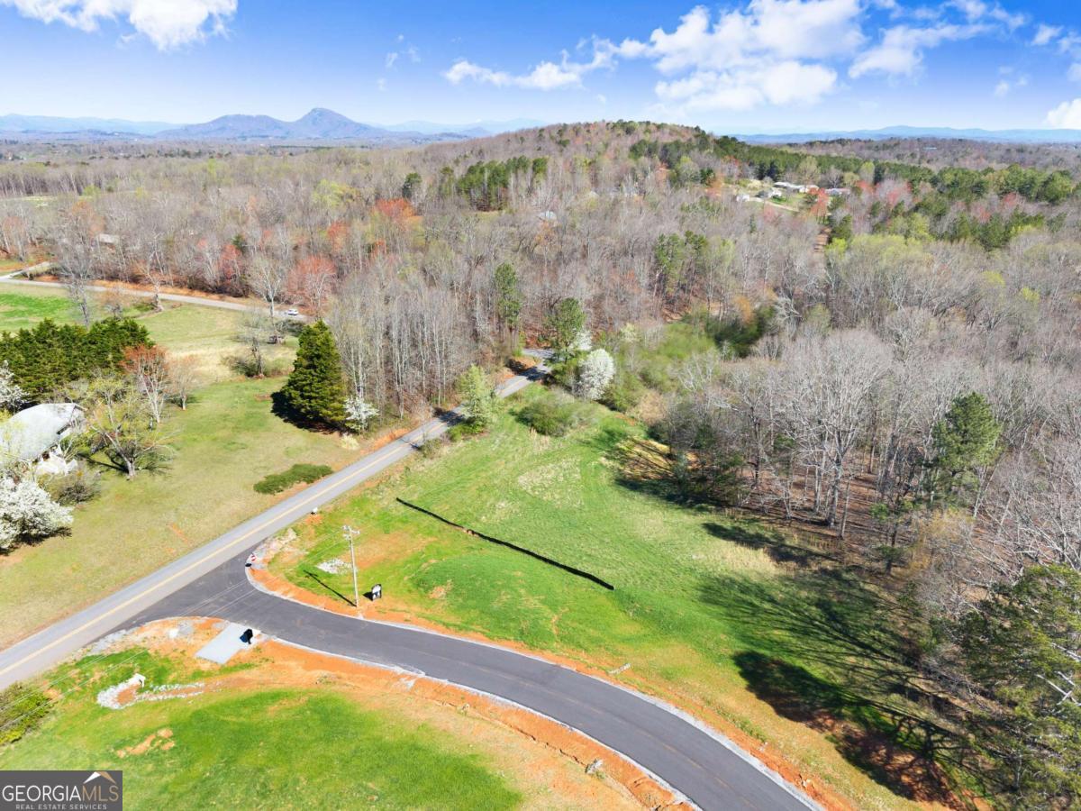 19 White Oak Court