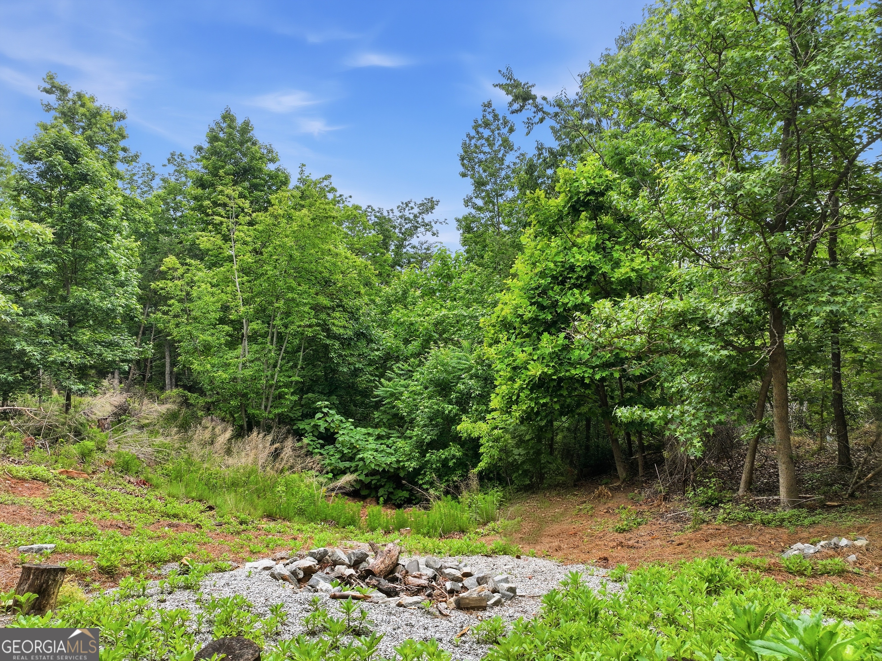 97 Eagle Ridge Trail