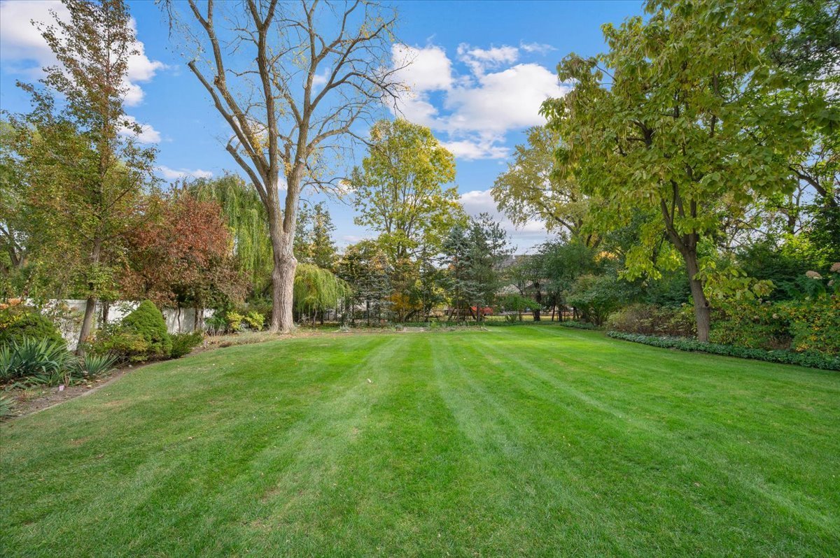 985 Pine Tree Lane