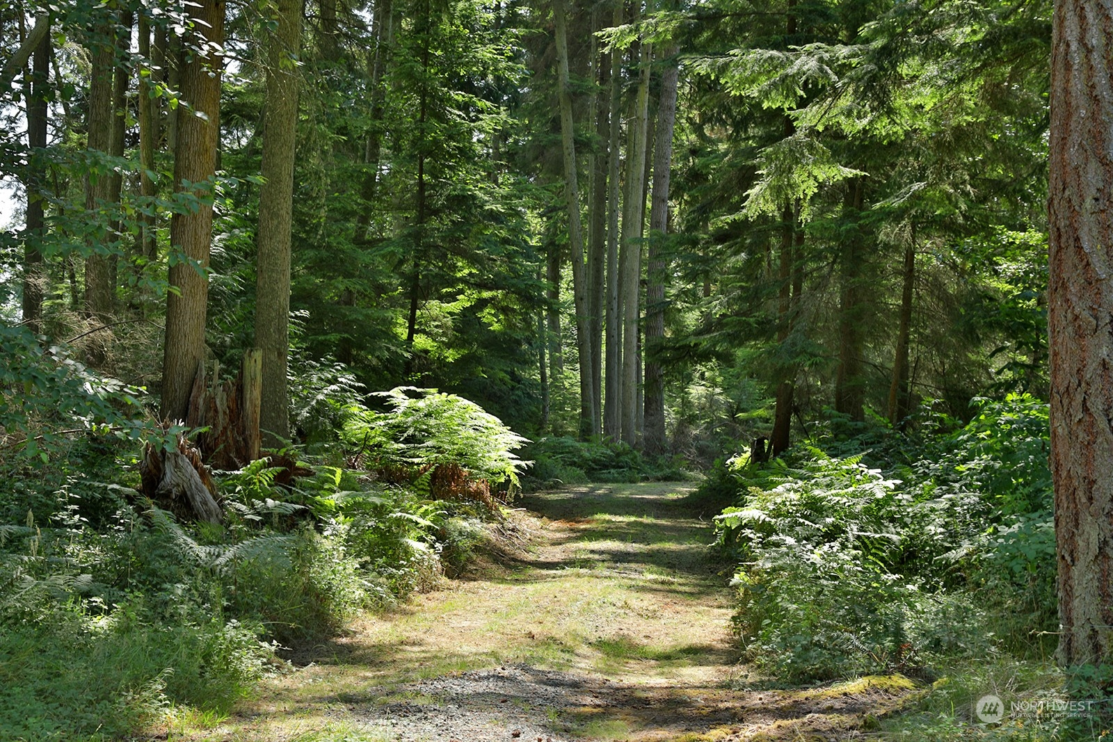 22897 State Route 525