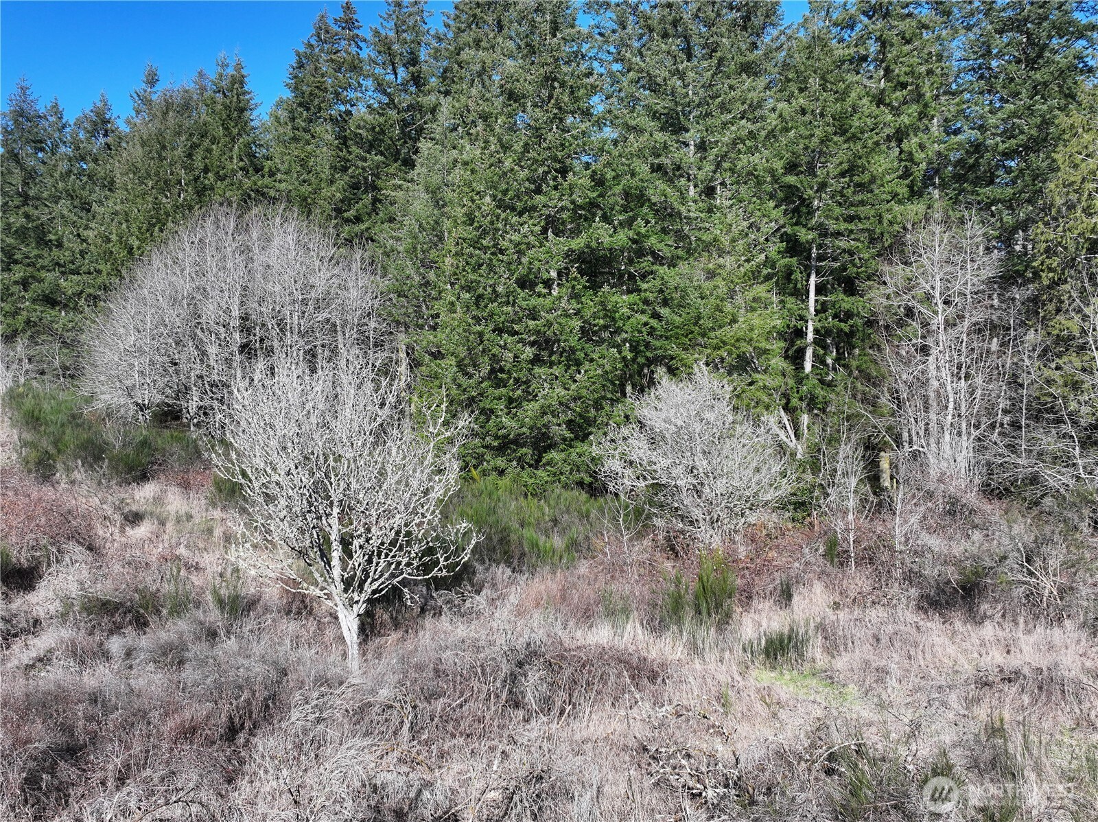 0 XXX SR 525 Road