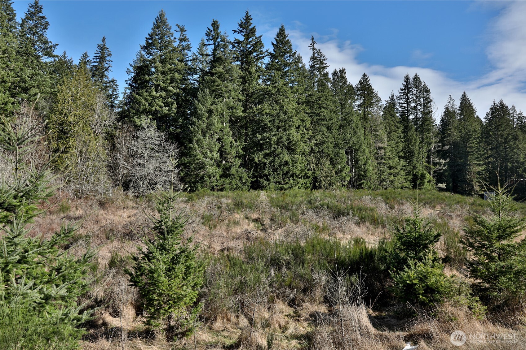 0 XXX SR 525 Road
