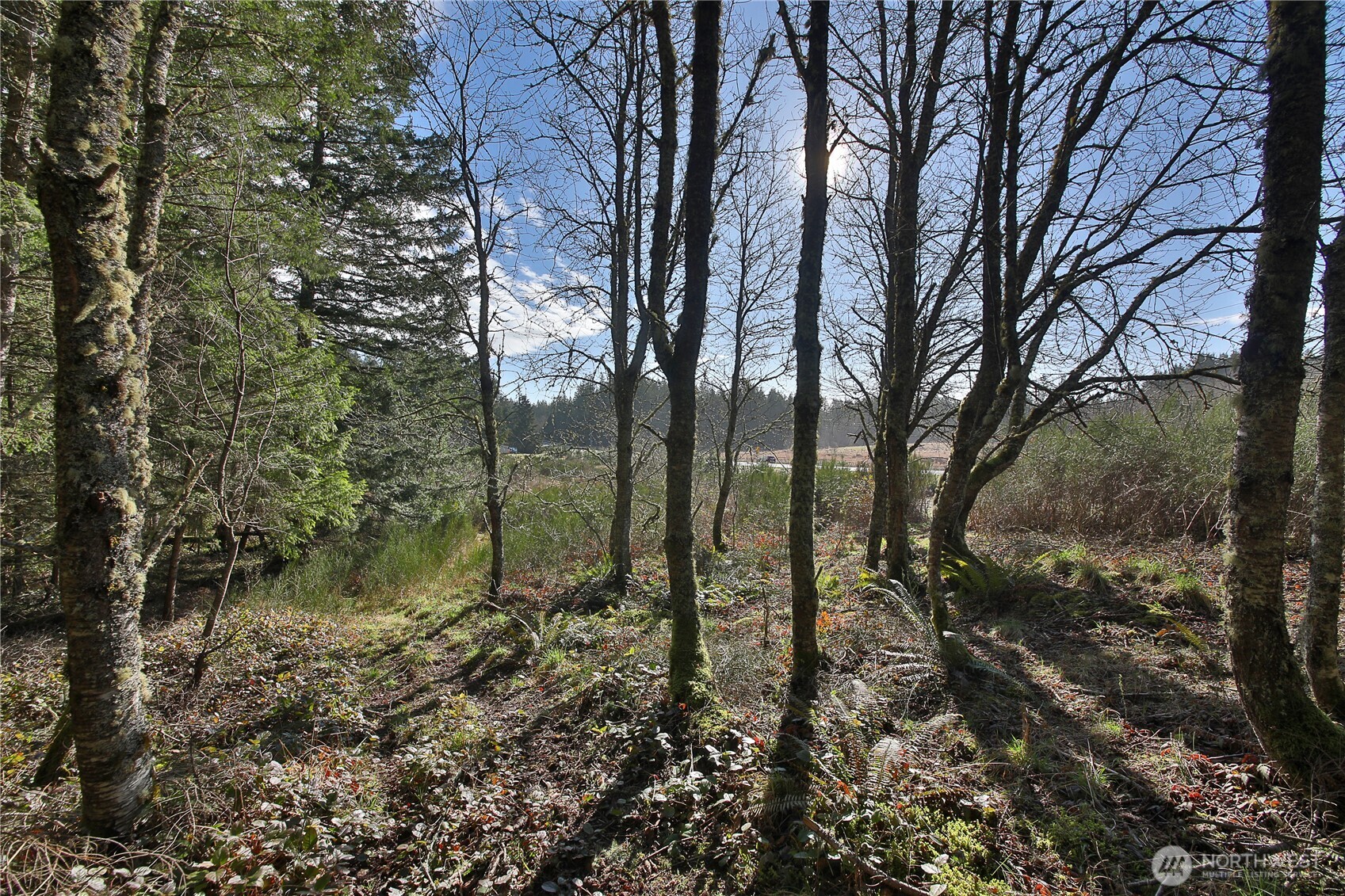 0 XXX SR 525 Road