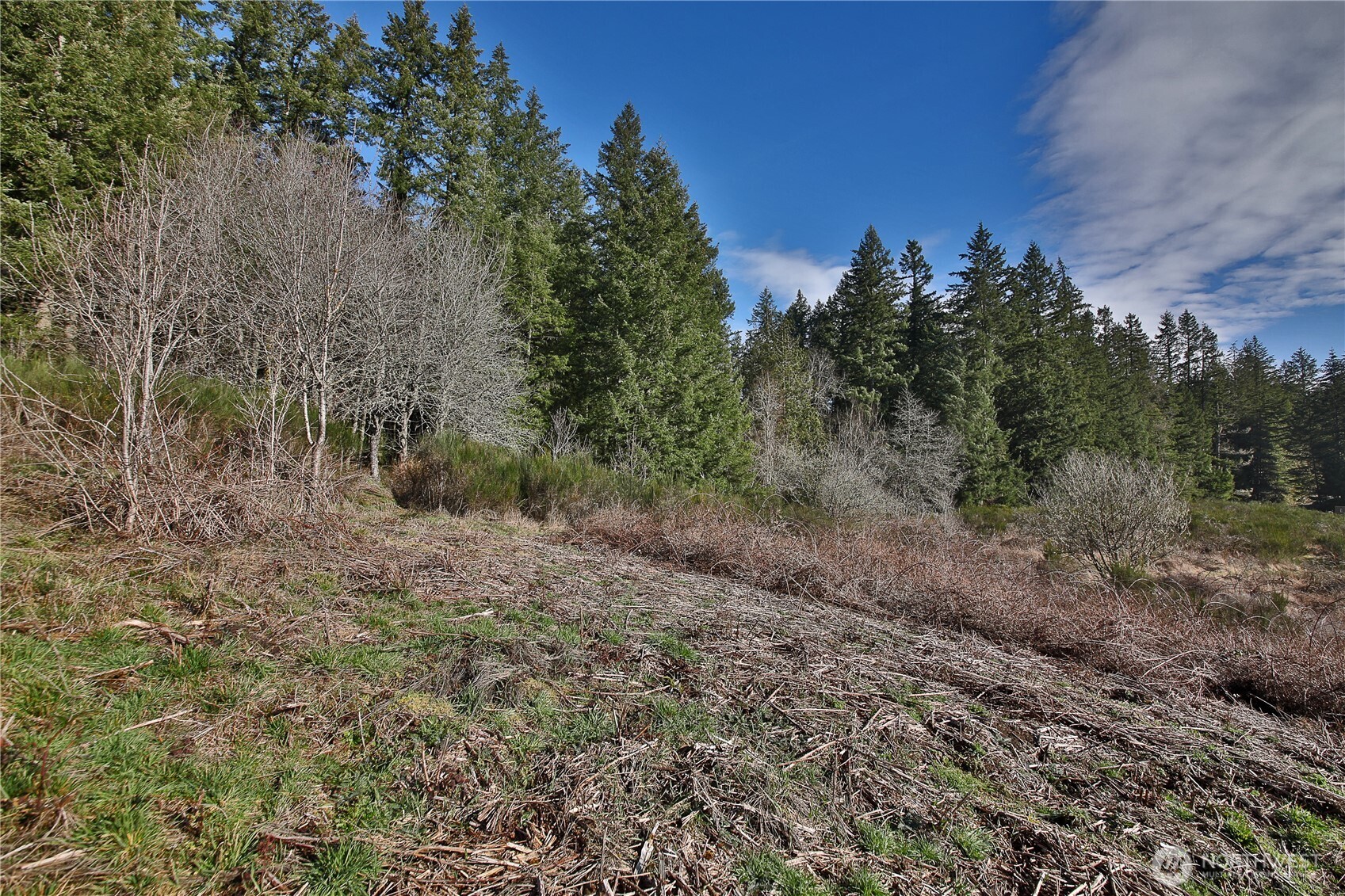 0 XXX SR 525 Road