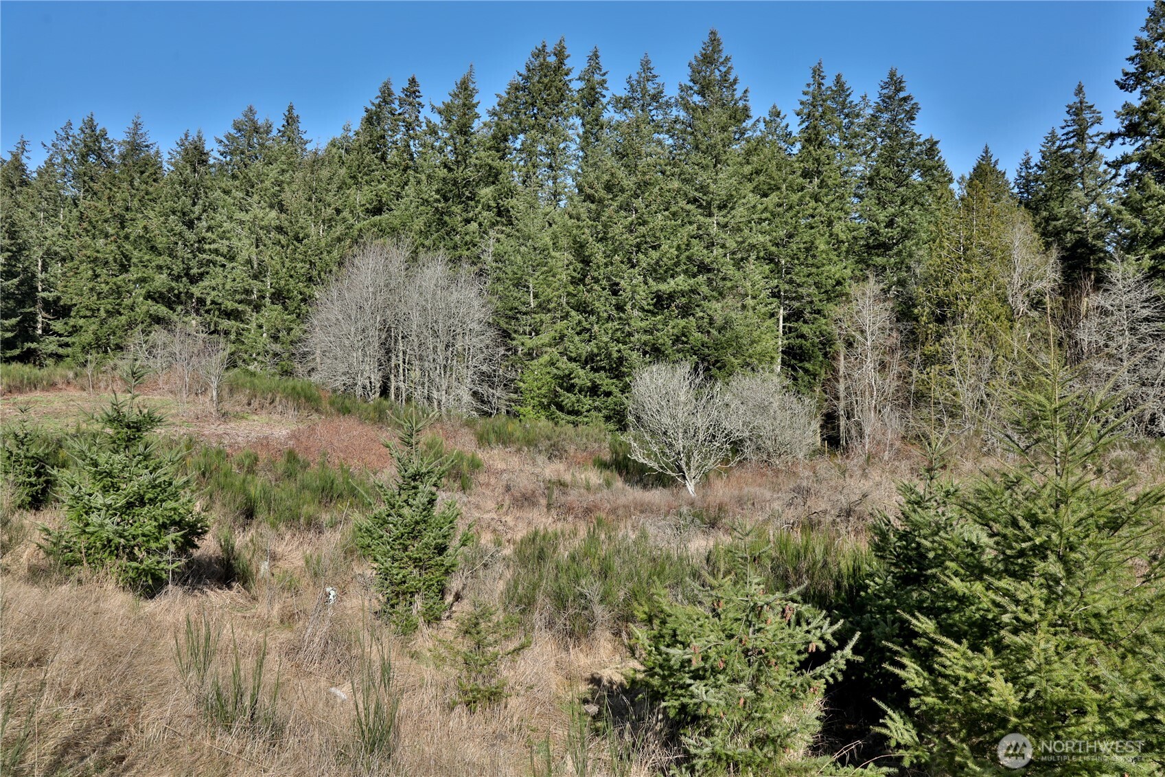 0 XXX SR 525 Road