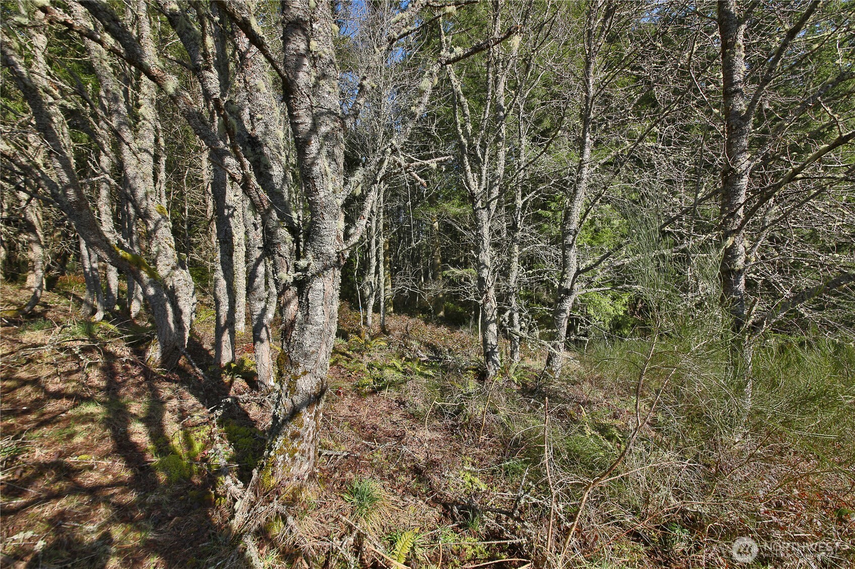 0 XXX SR 525 Road