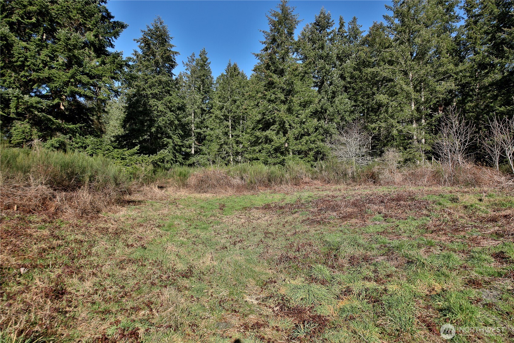 0 XXX SR 525 Road