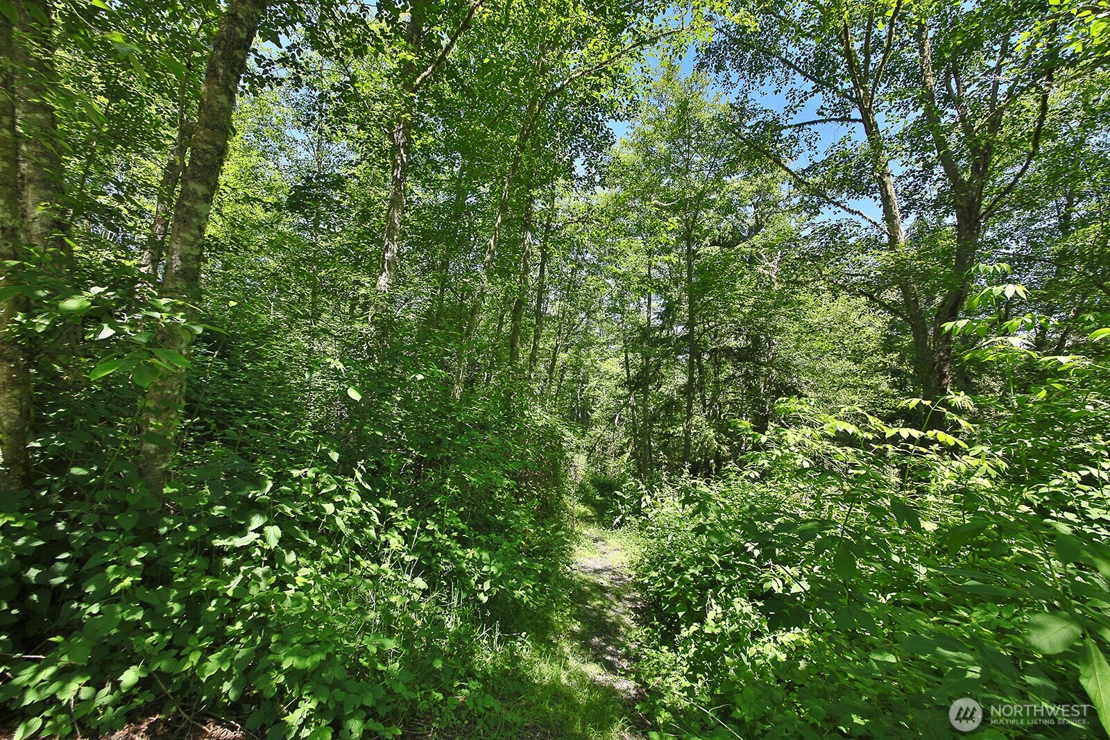 0 XXXX Goss Ridge Road
