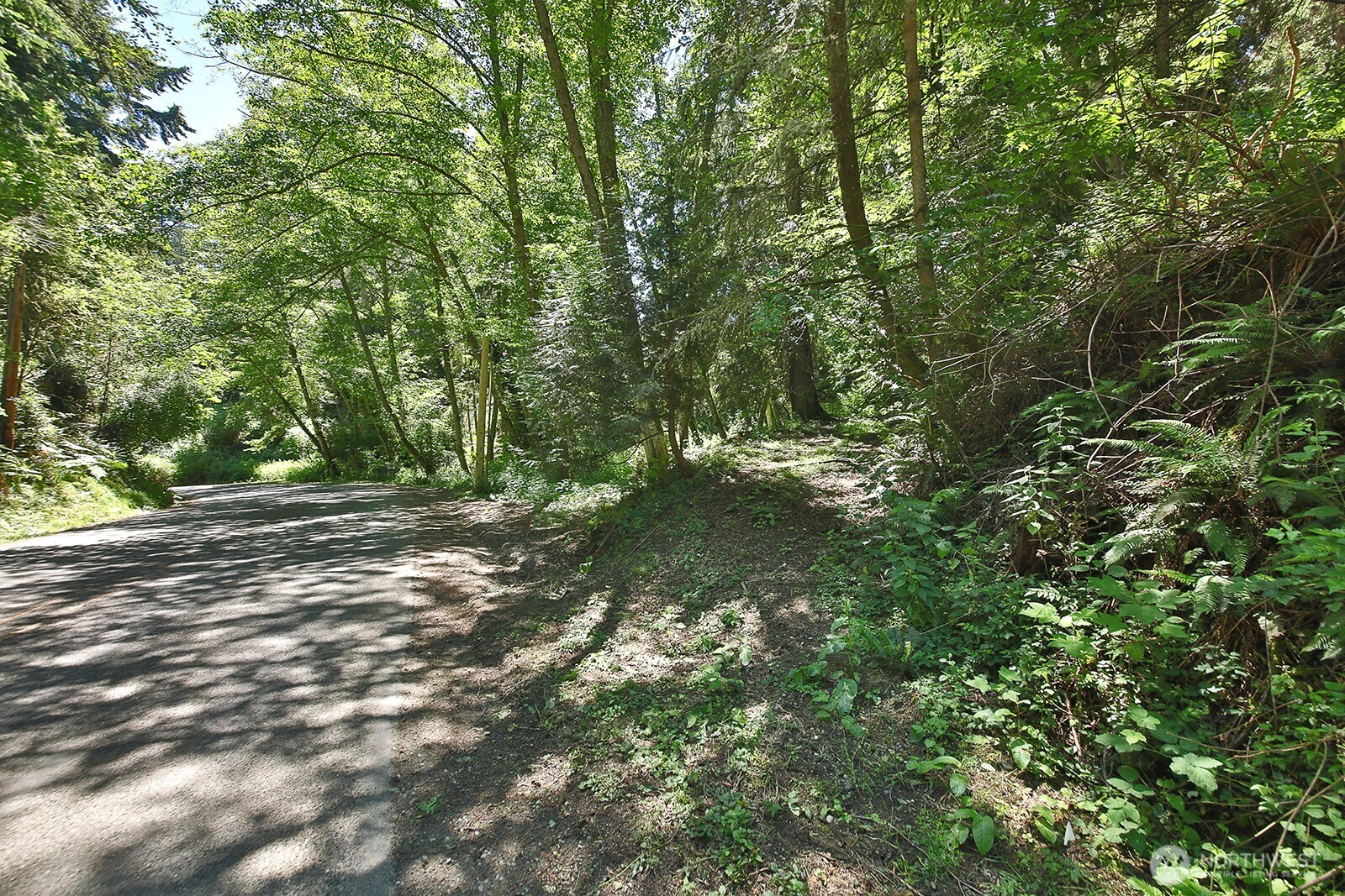 0 XXX George Drive