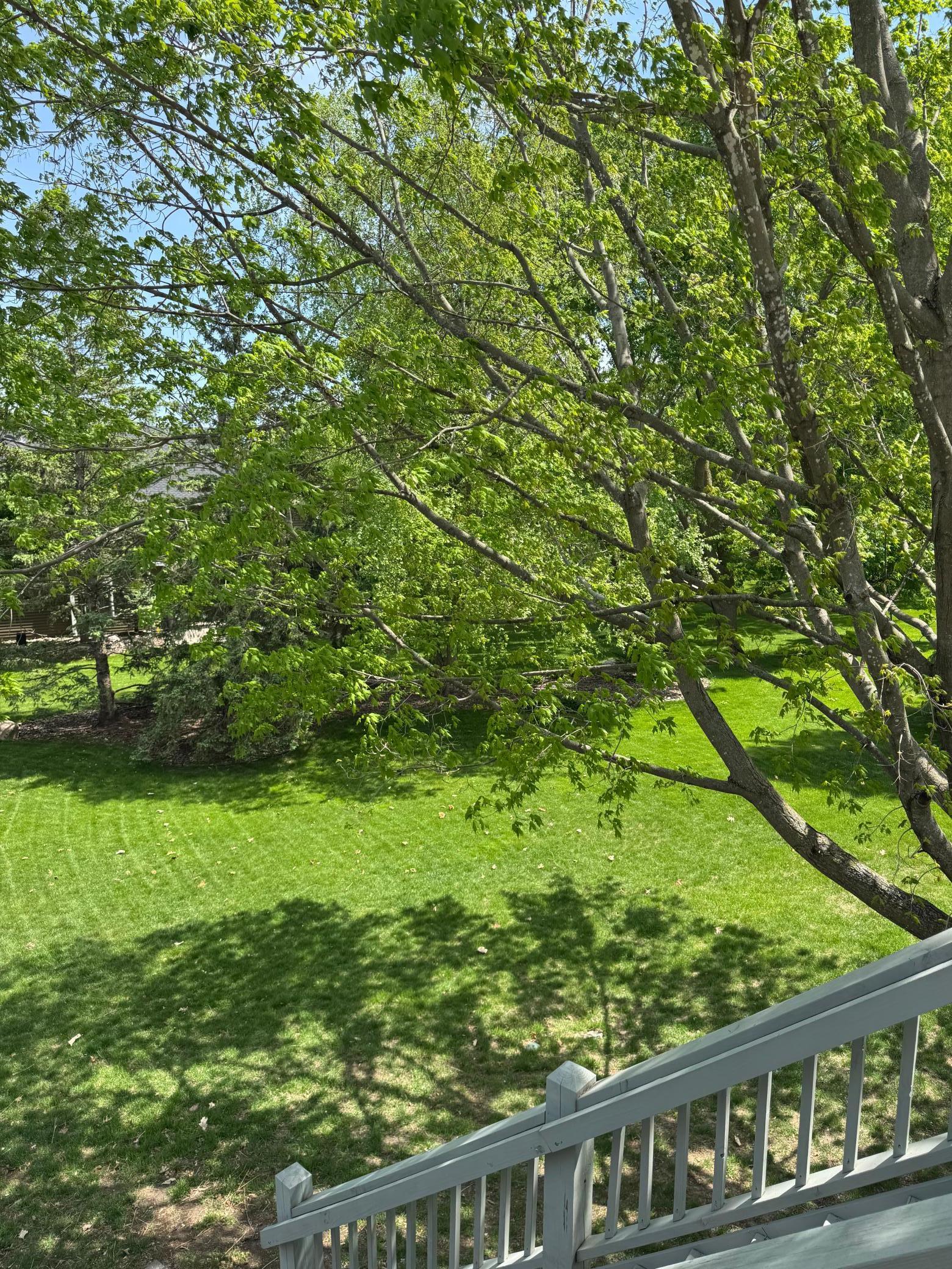 8043 Spruce Trail