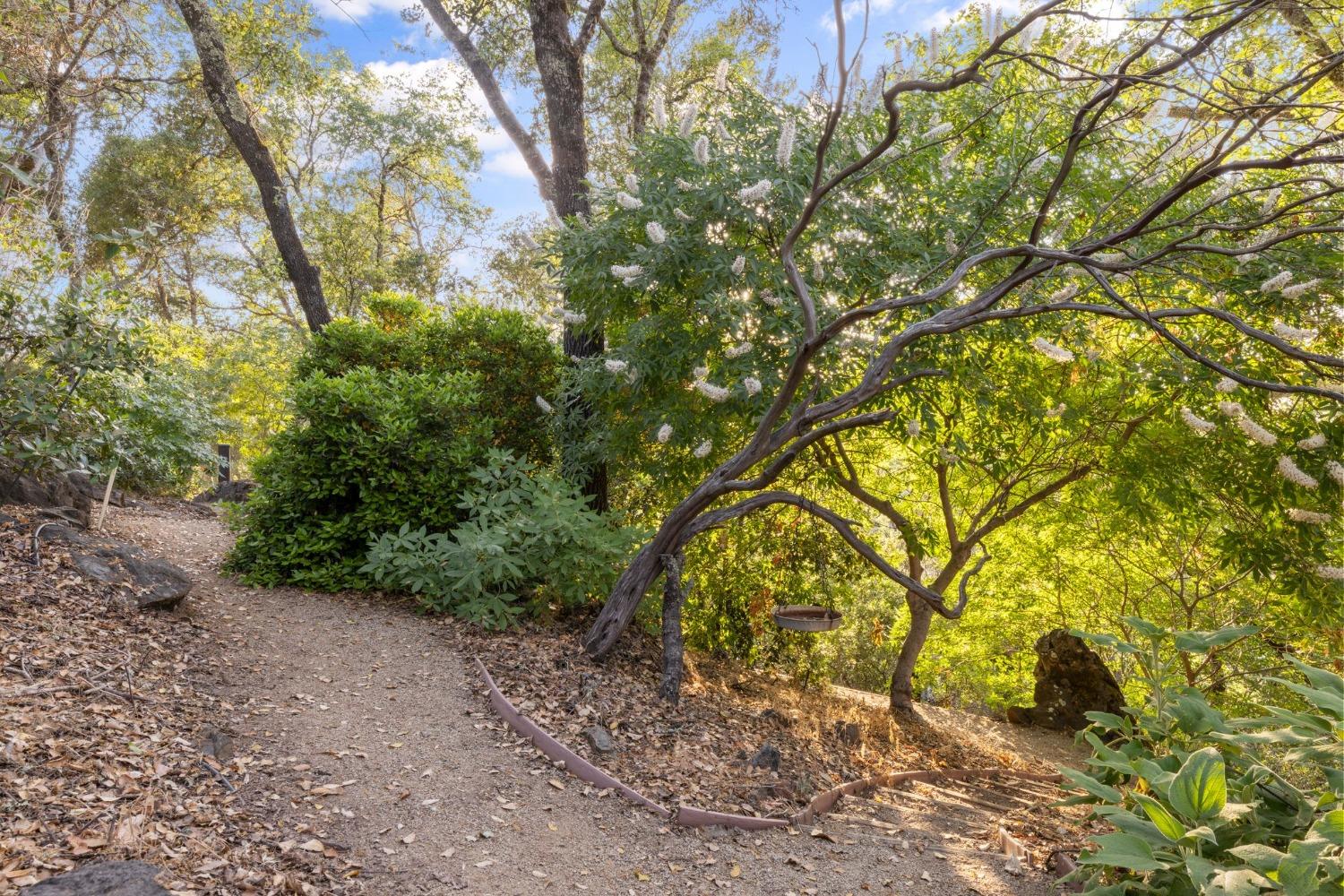 4580 Meadow Creek Road