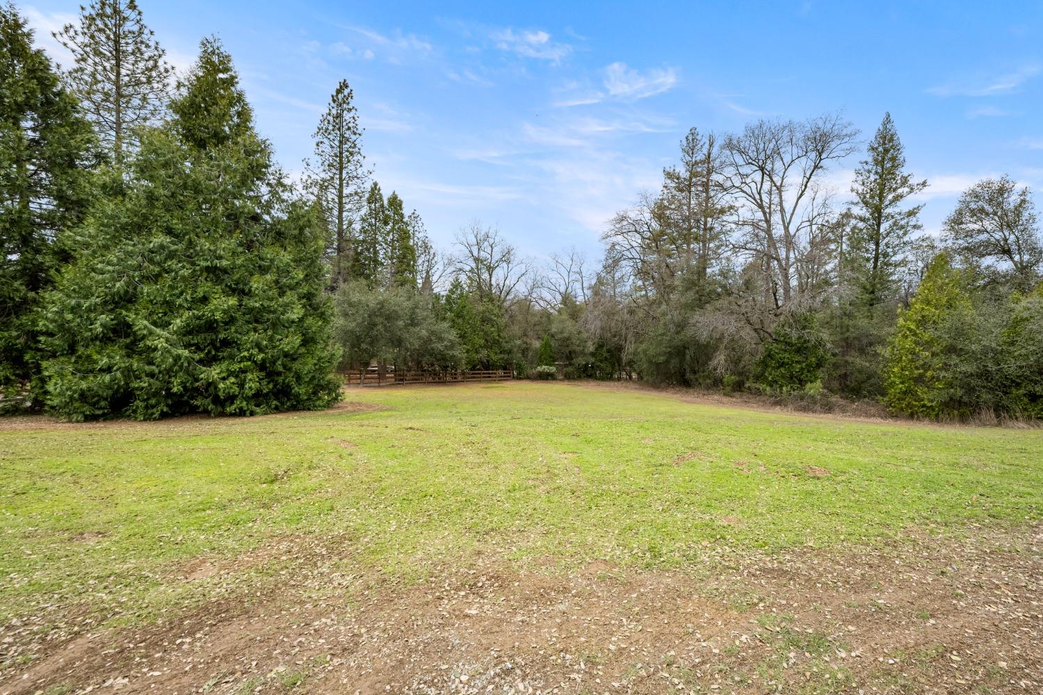 3901 Coon Hollow Road