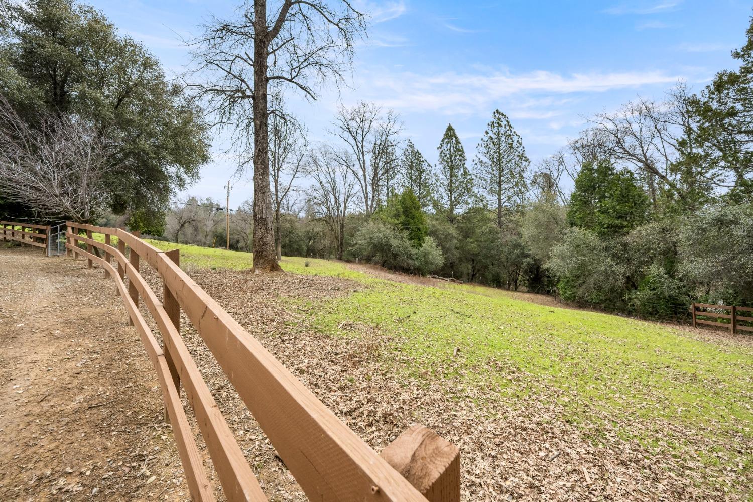 3901 Coon Hollow Road