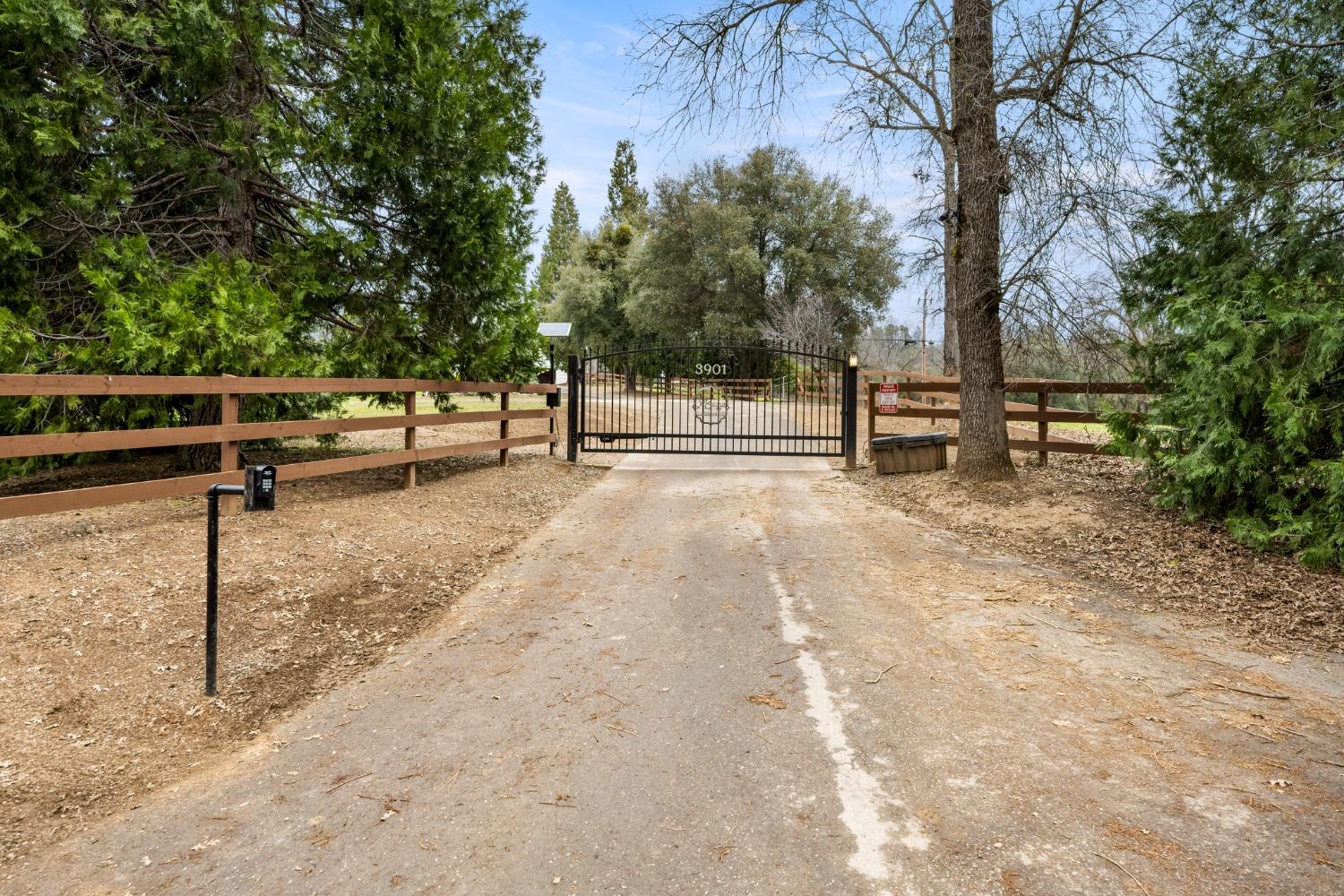 3901 Coon Hollow Road