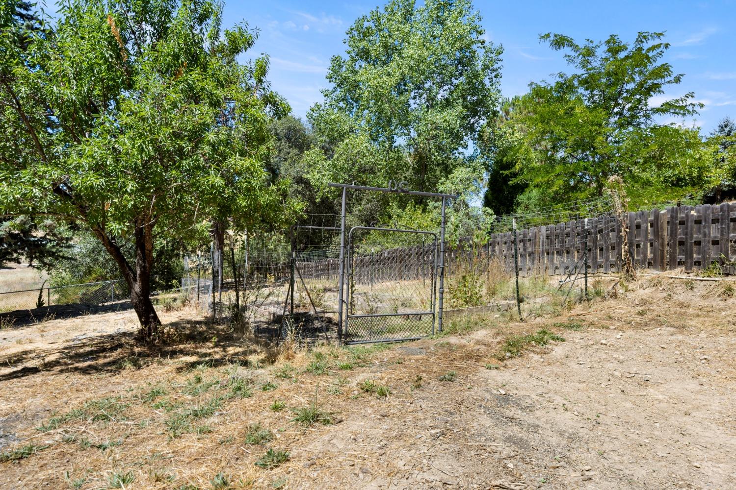 3787 Coon Hollow Road