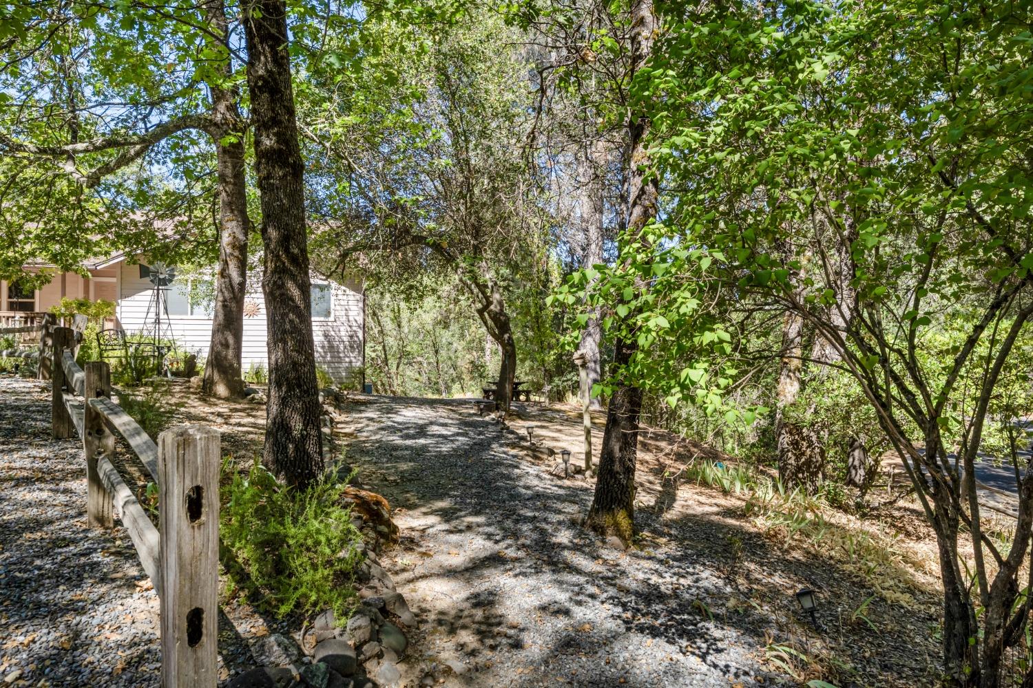 3950 Coon Hollow Road