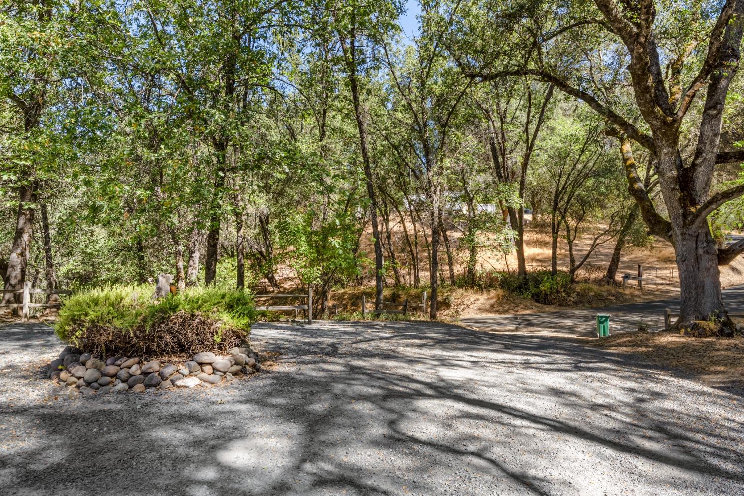 3950 Coon Hollow Road