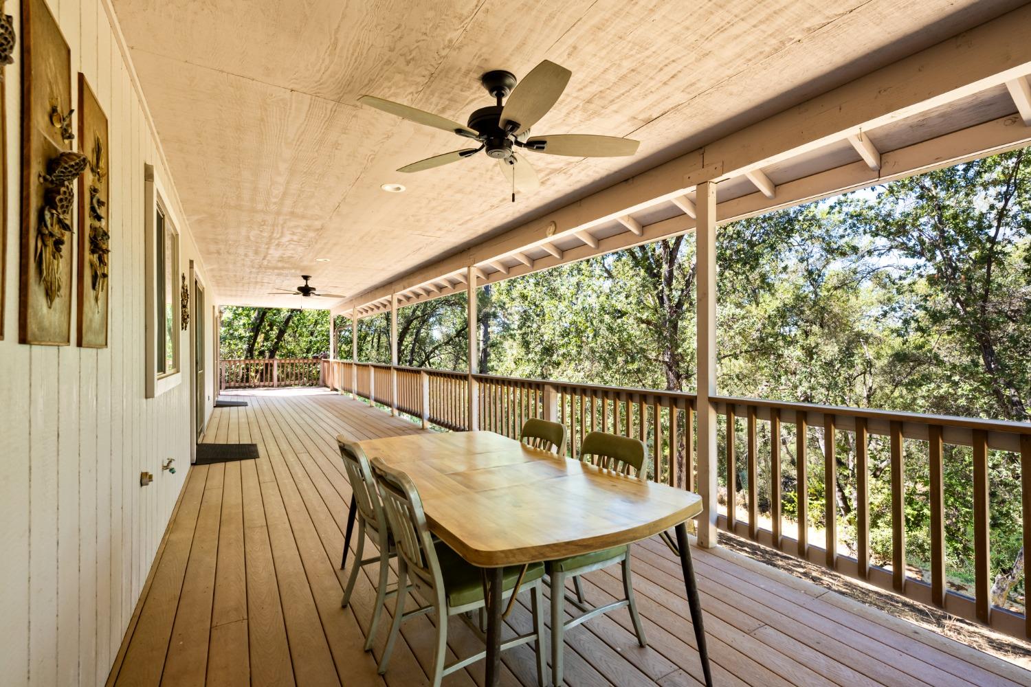 3950 Coon Hollow Road