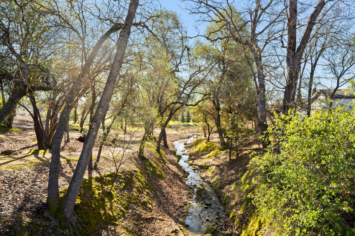 4390 Patterson Drive 295