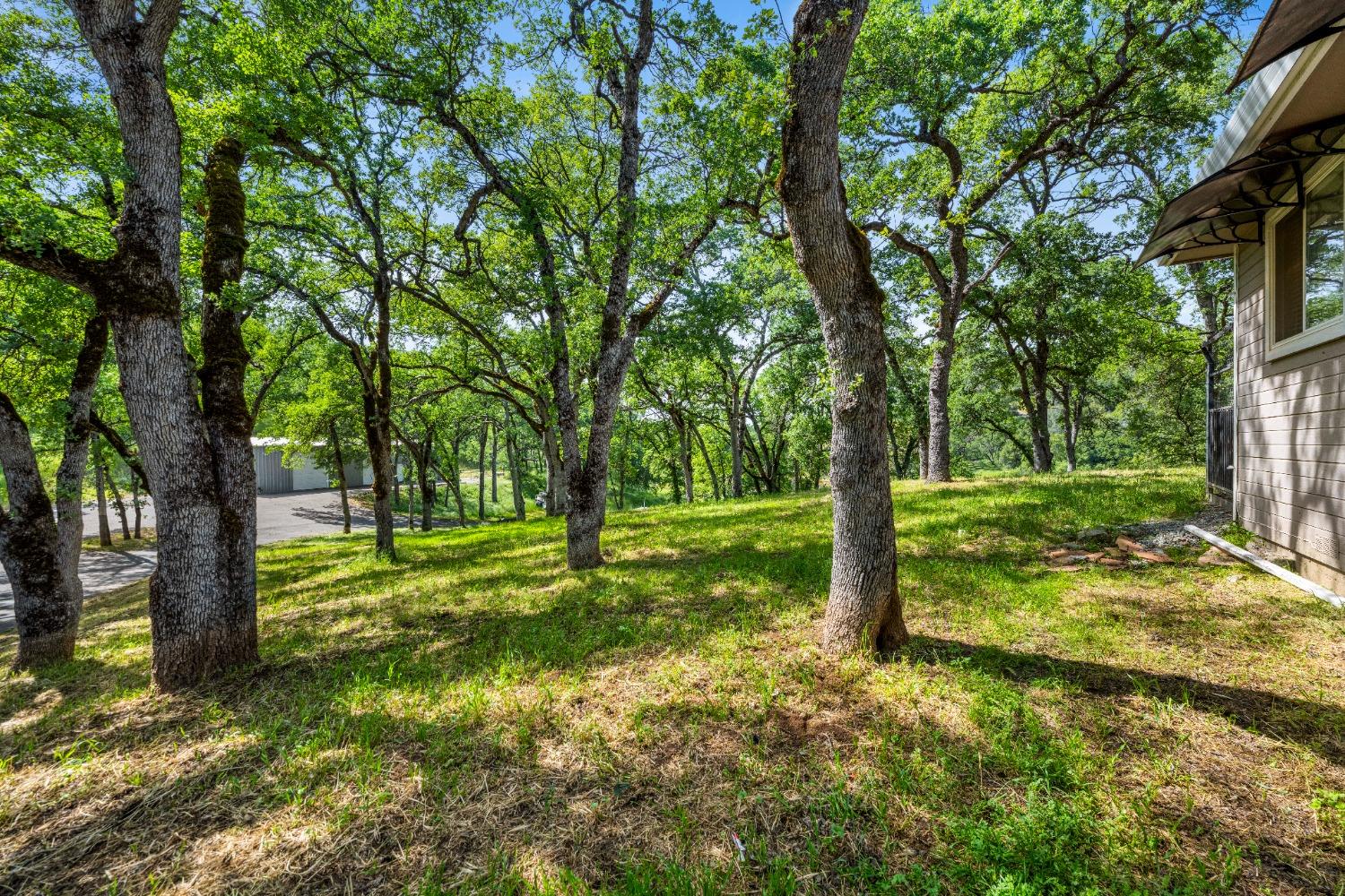 4540 Burnt Oak Drive