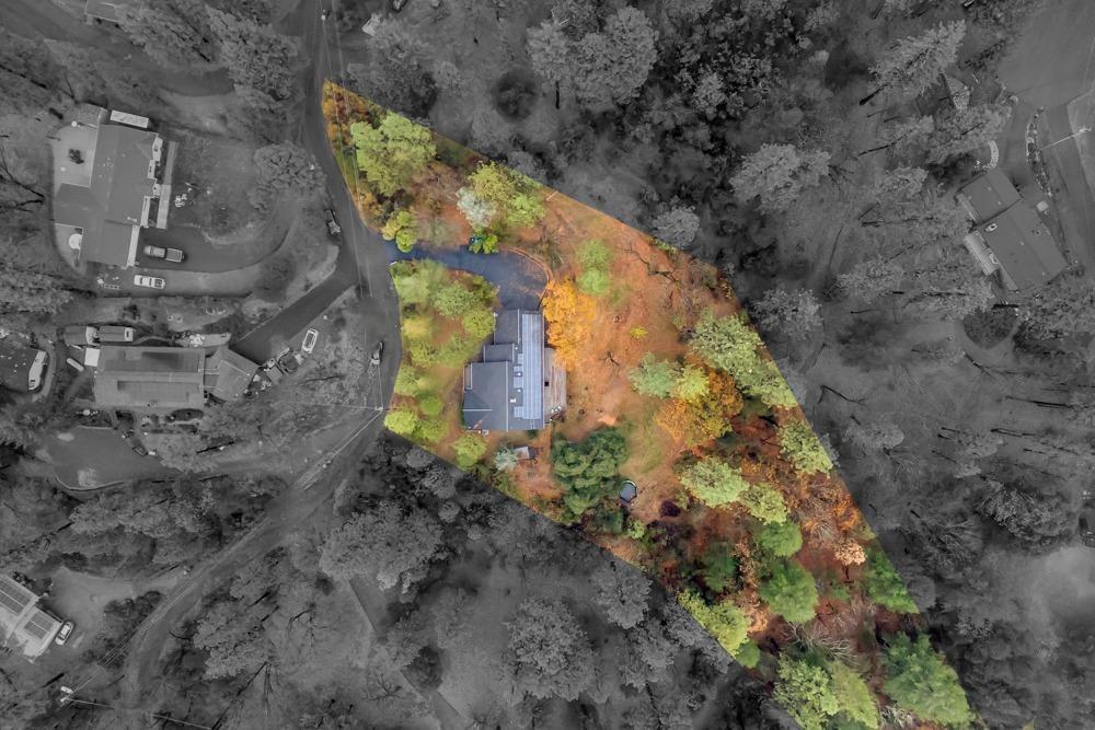 2350 Big Canyon Creek Road