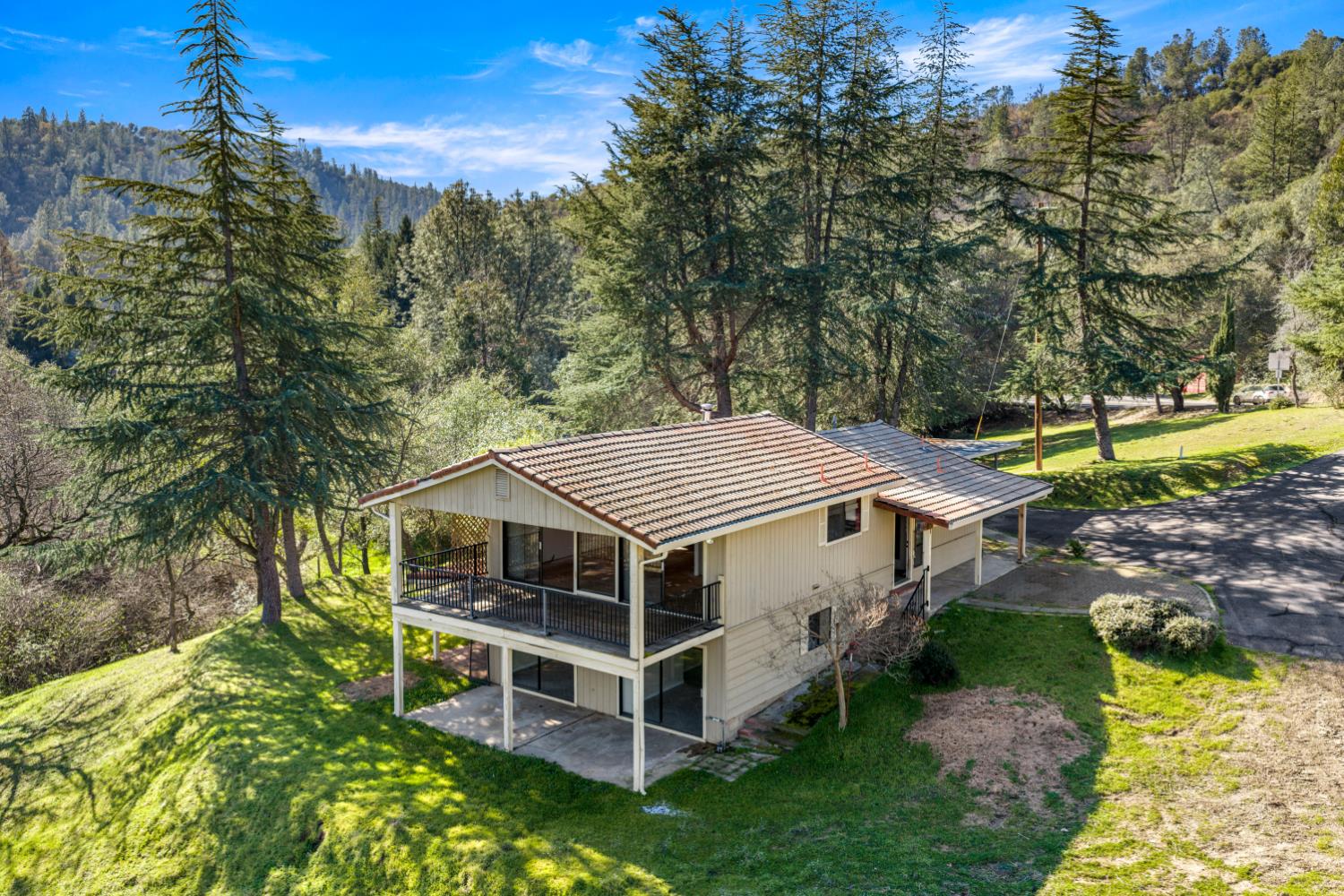 533 State Highway 49