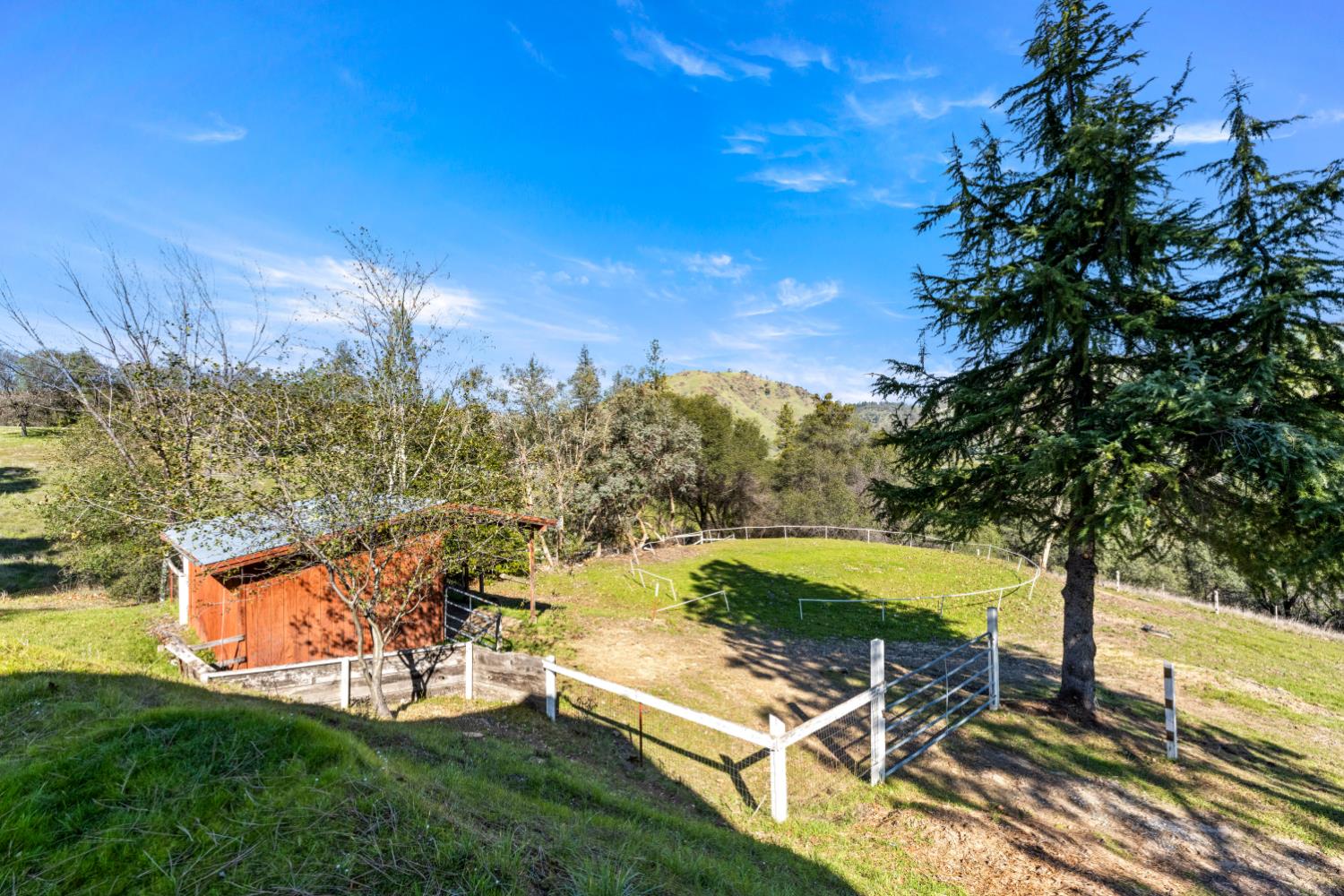 533 State Highway 49