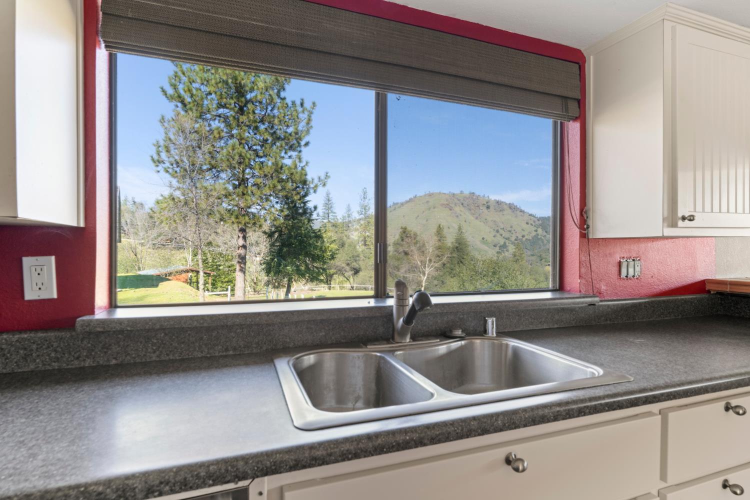 533 State Highway 49