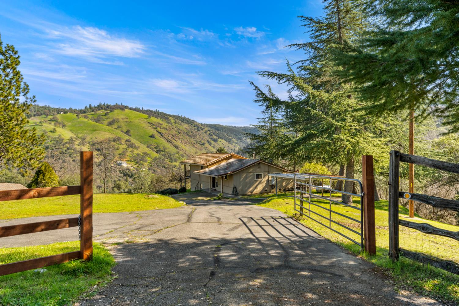 533 State Highway 49
