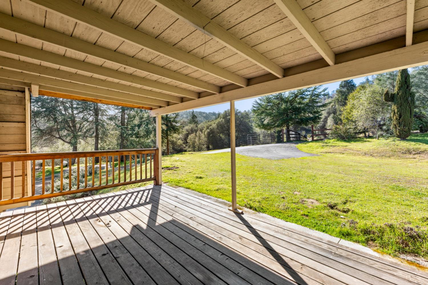 533 State Highway 49