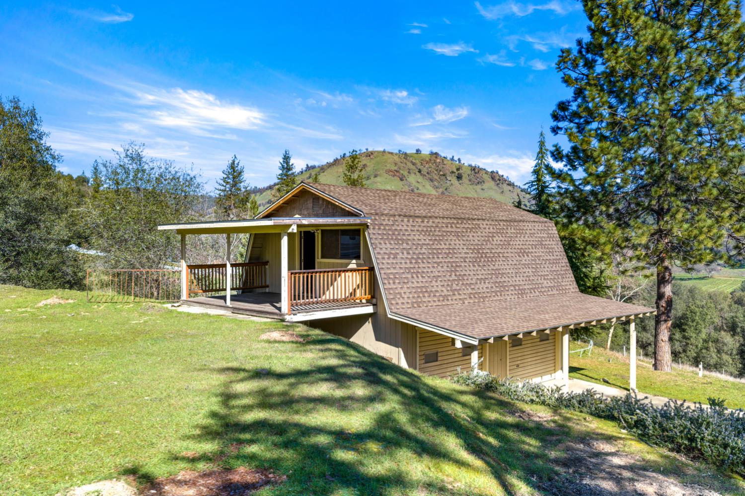 533 State Highway 49