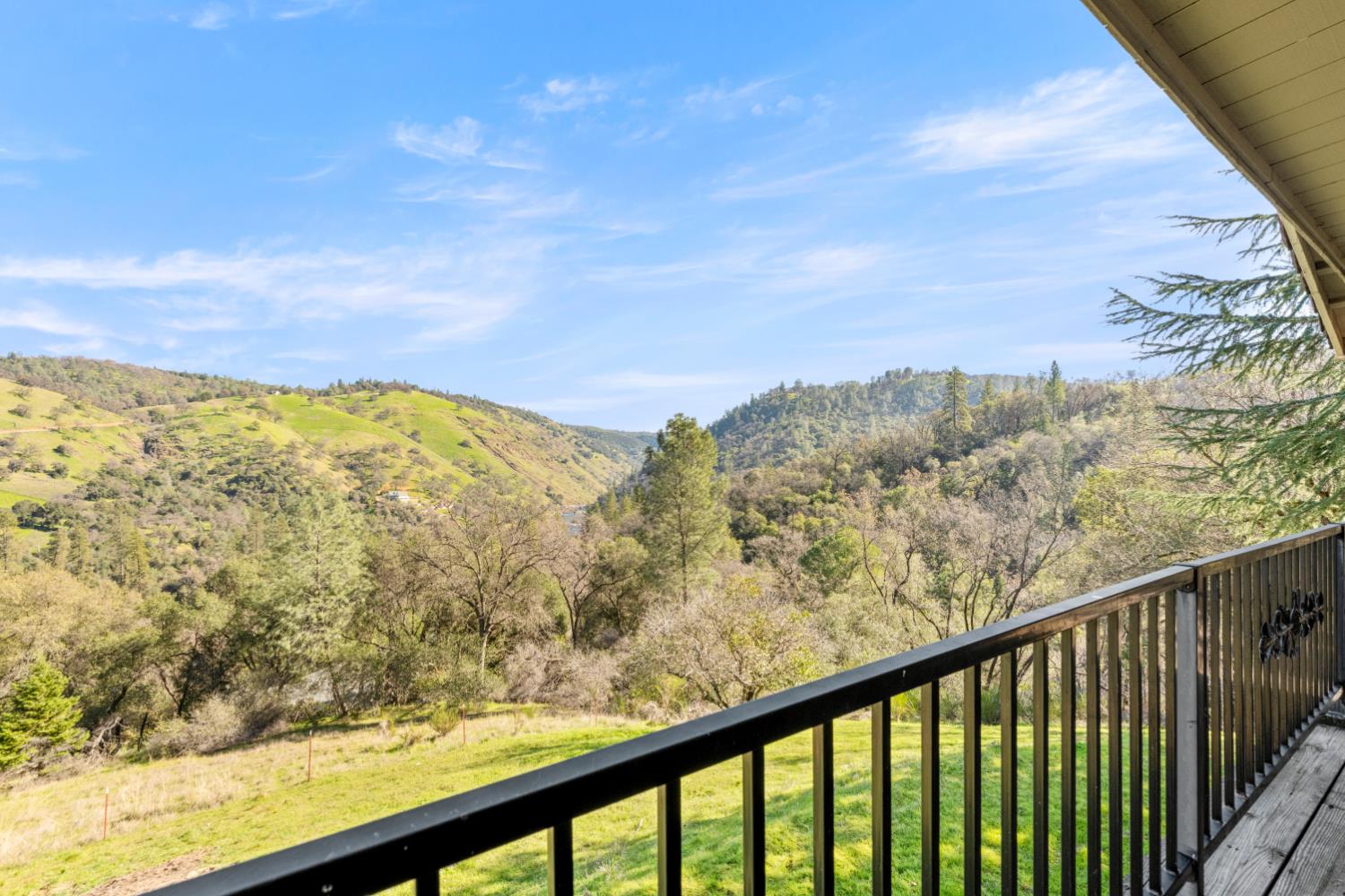 533 State Highway 49