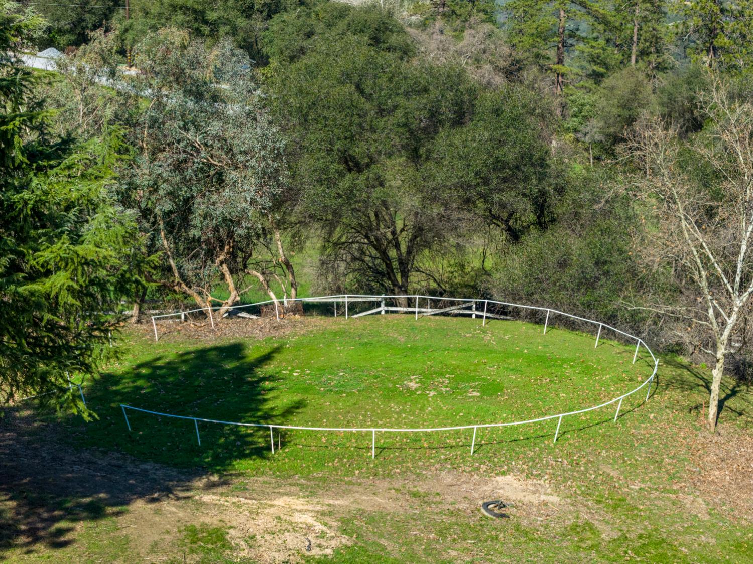 533 State Highway 49