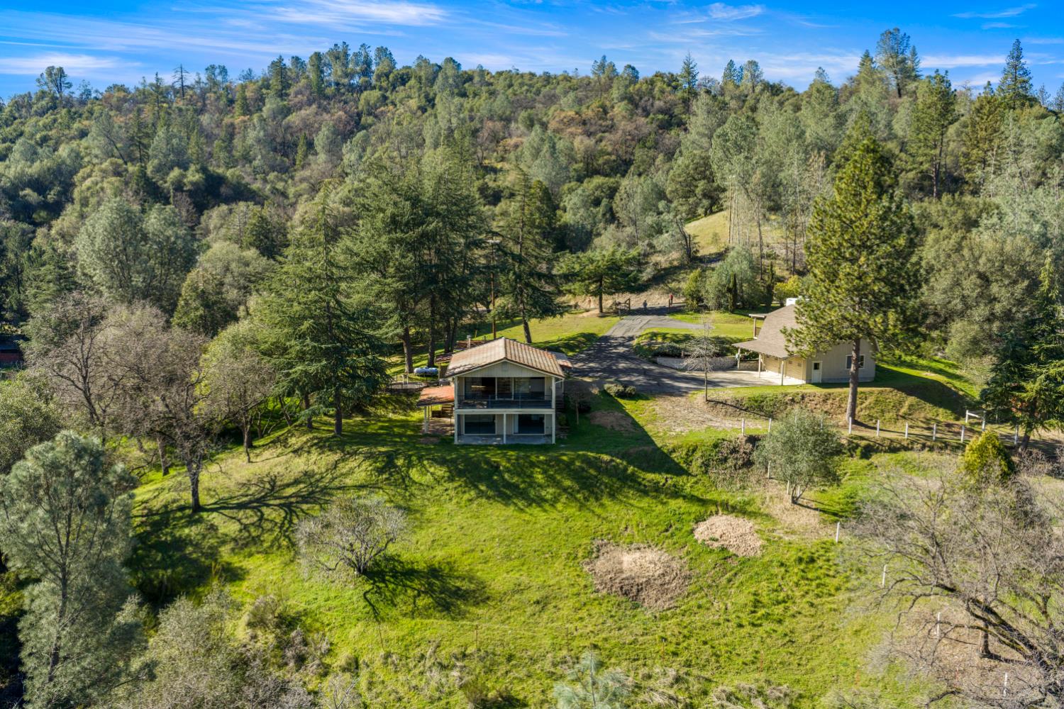 533 State Highway 49