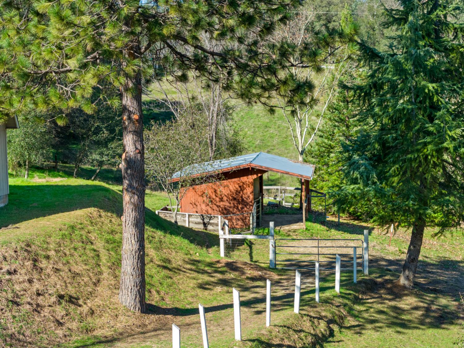 533 State Highway 49