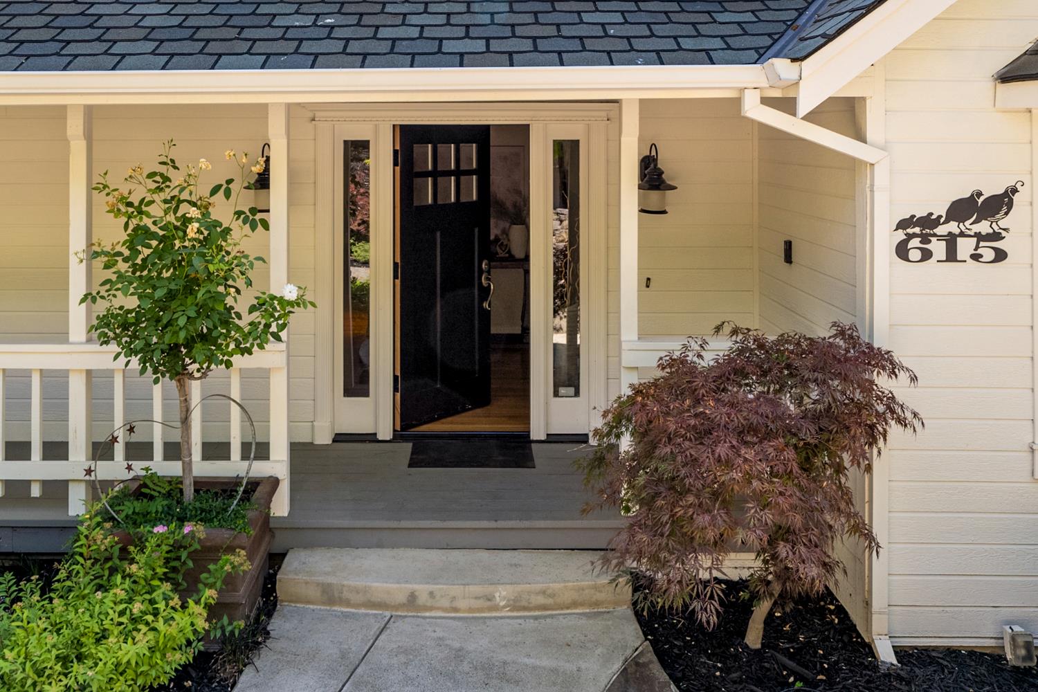 615 Blue Oak Court