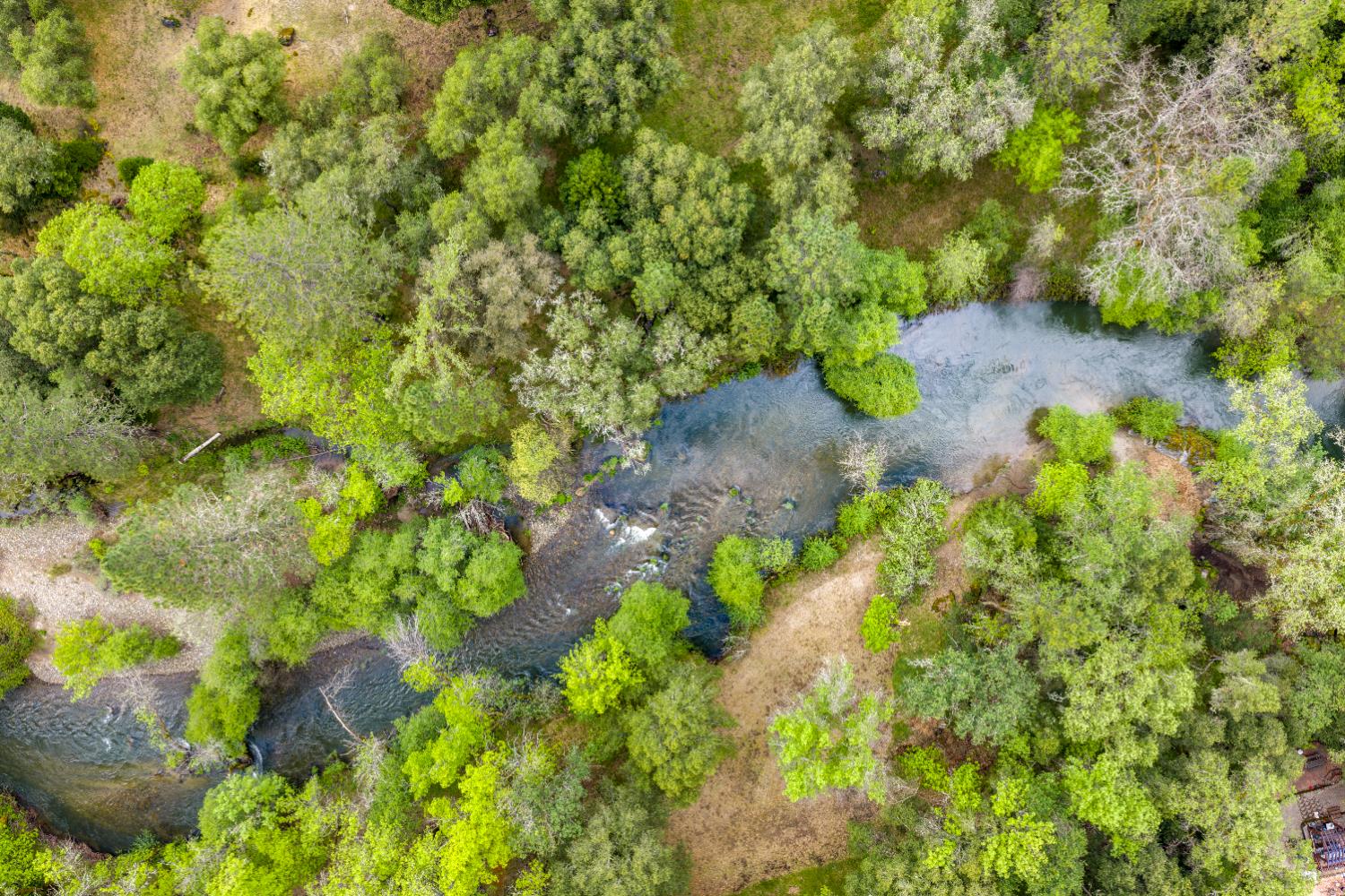 7321 Morning Canyon Road