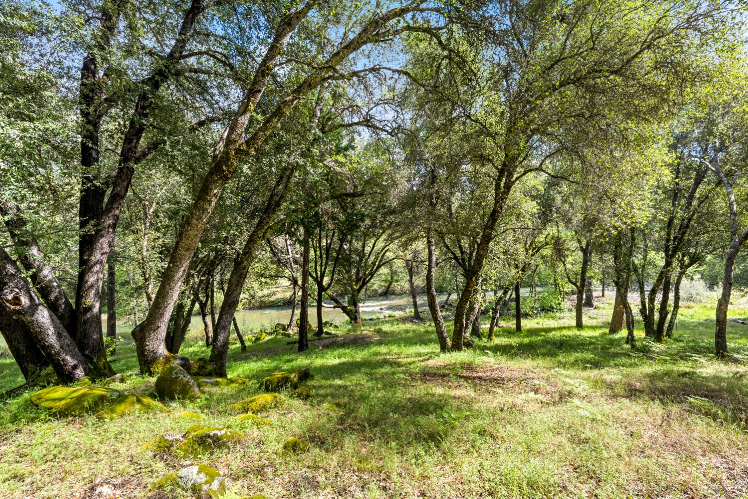 7321 Morning Canyon Road